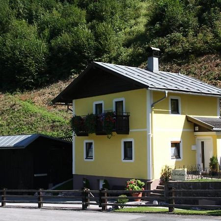 Ferienhaus Christine Taxenbach Exterior photo